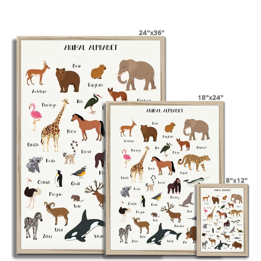 Animal ABC  Framed Print - Artformed