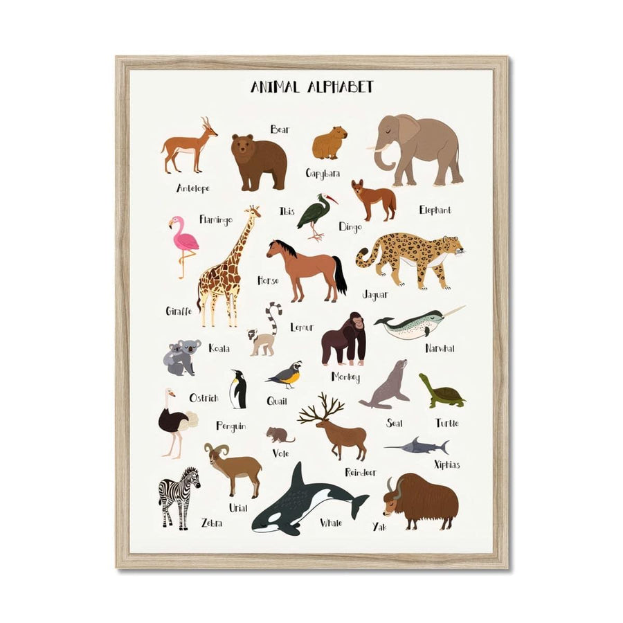 Animal ABC  Framed Print - Artformed