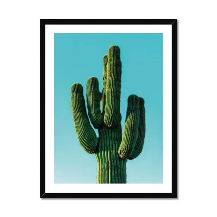Cactus Sky  Framed Print - Artformed